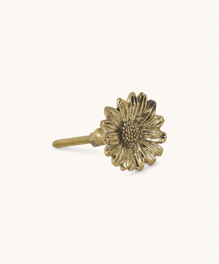 Bouton Marguerite Breezy